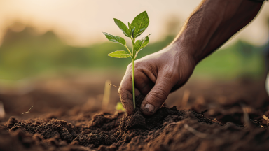 Agricultural Consultants Insurance