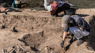 Archaeological Consultants Insurance