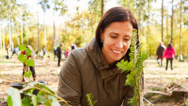 Ecological Consultants Insurance