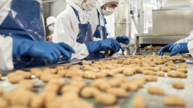 Food Hygiene Consultancy Insurance