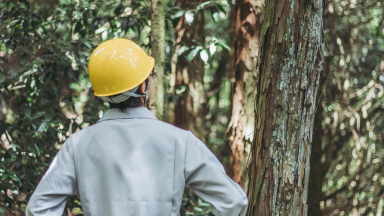 Forestry and Conservation Consultants Insurance
