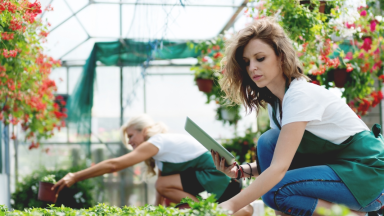 Horticultural Consultancy Insurance