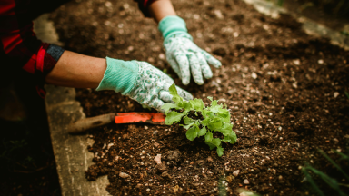 Insurance Requirements for Self-Employed Gardeners